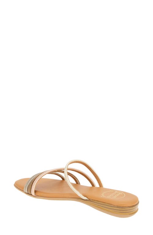Andre Assous André Assous Nolan Sandal