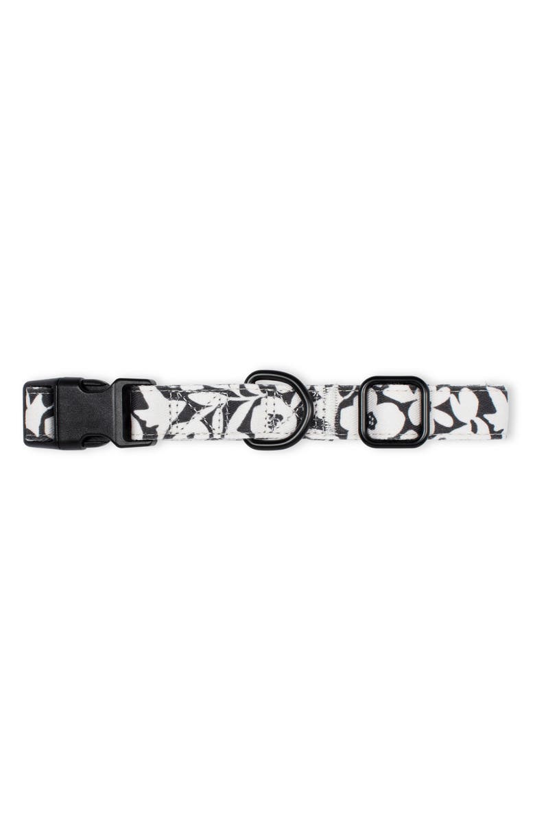 Fringe Studio Charcoal Floral Medium Dog Collar, Main, color, White Flowers