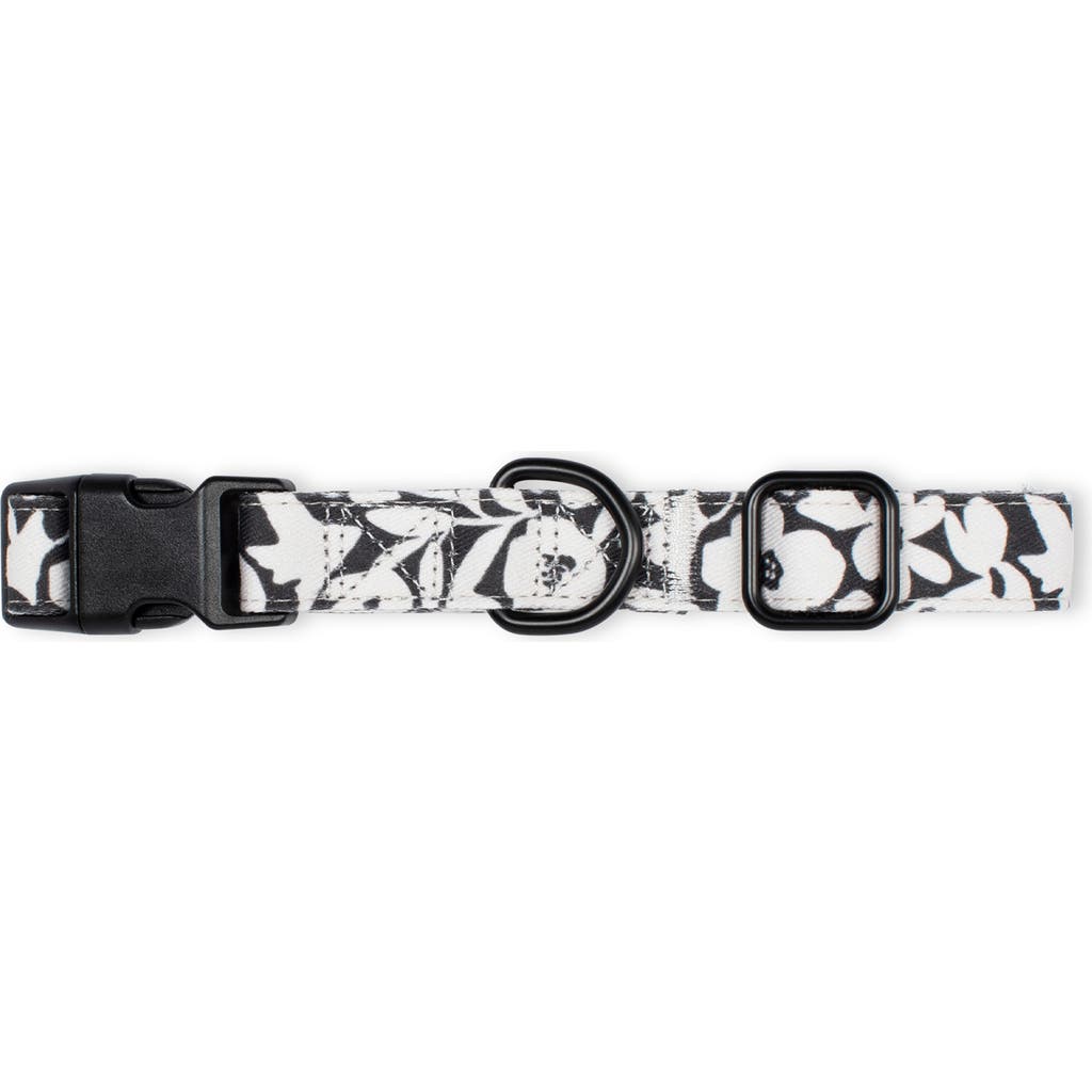 Fringe Studio Charcoal Floral Medium Dog Collar in White Flowers  product
