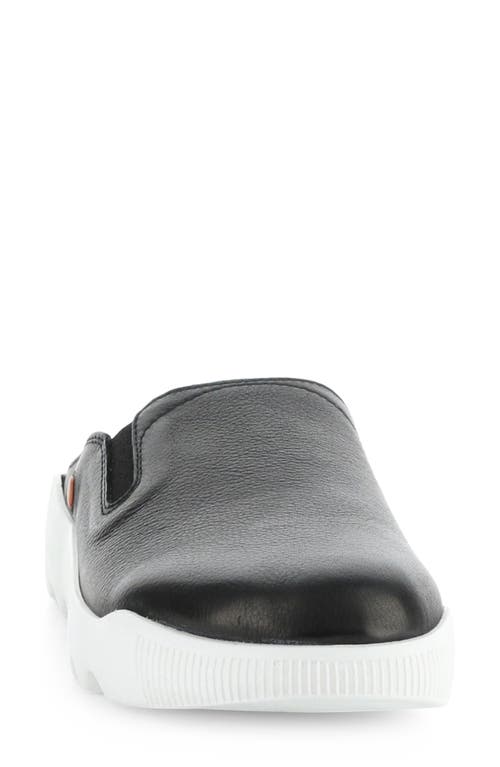 Shop Fly London Wadi Mule Sneaker