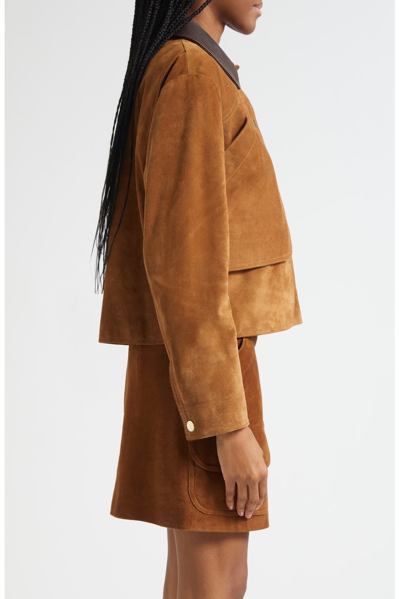 Walters Crop Suede Barn Jacket, Alternate, color, WHISKY