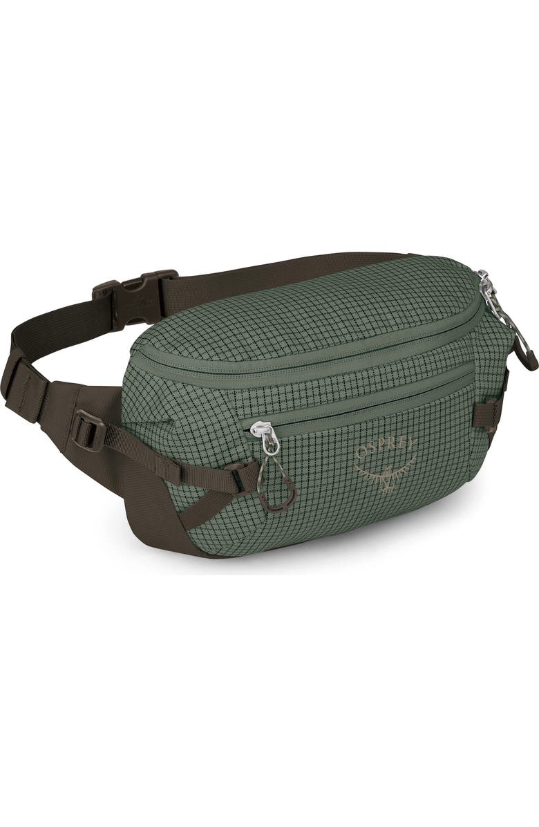 Osprey Transporter 3-Liter Waist Pack, Alternate, color, Pine Leaf/Earl Grey