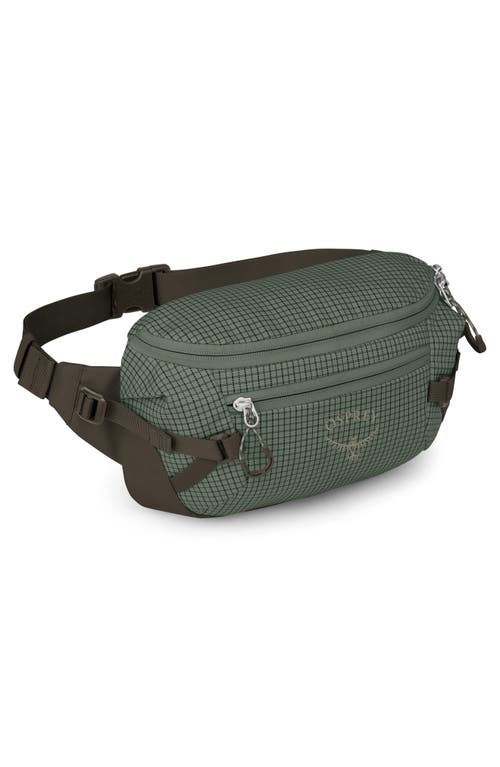 Osprey Transporter 3-liter Belt Bag In Pine Leaf/earl Grey