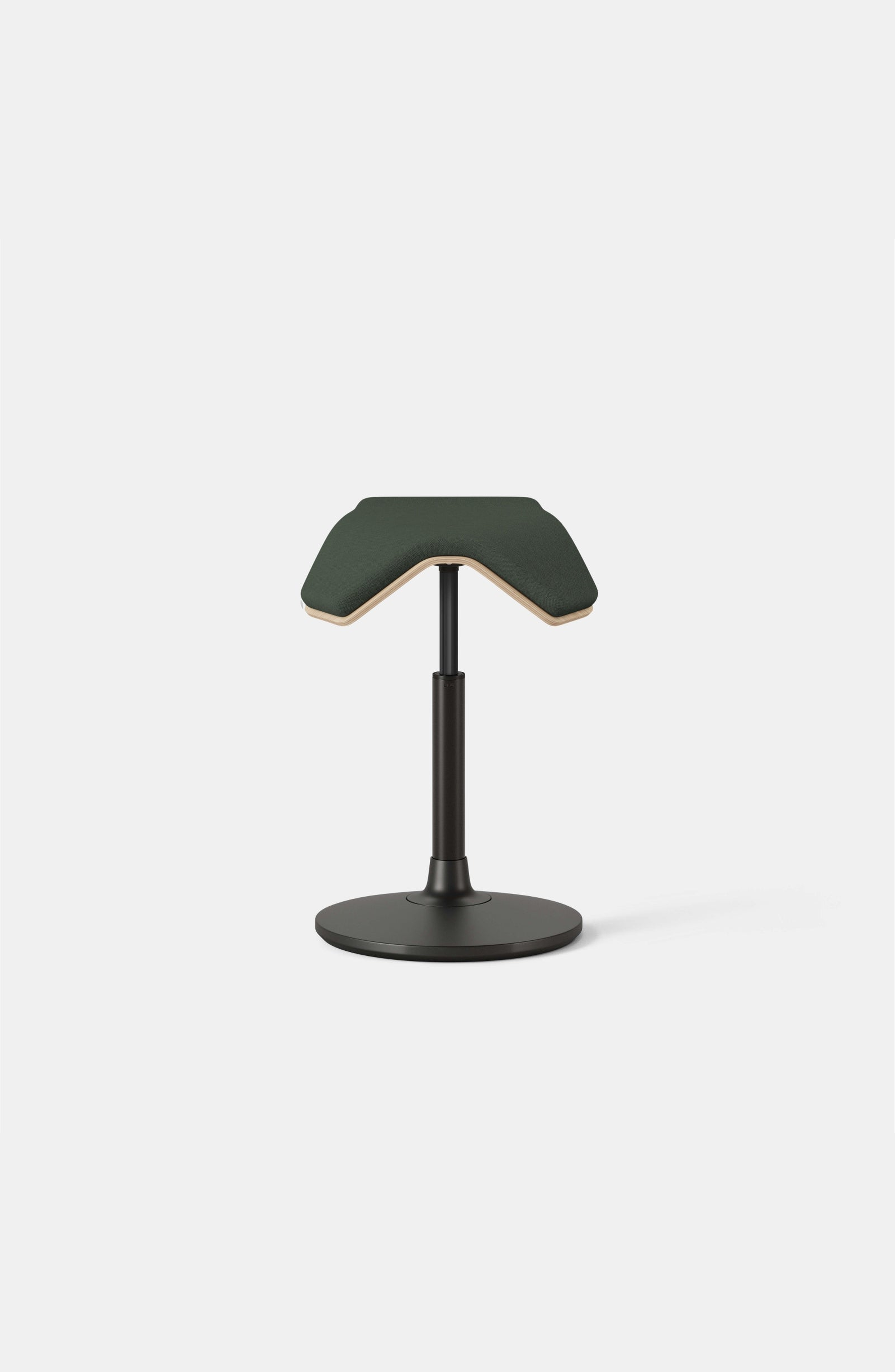 Forest / ILOA Plus