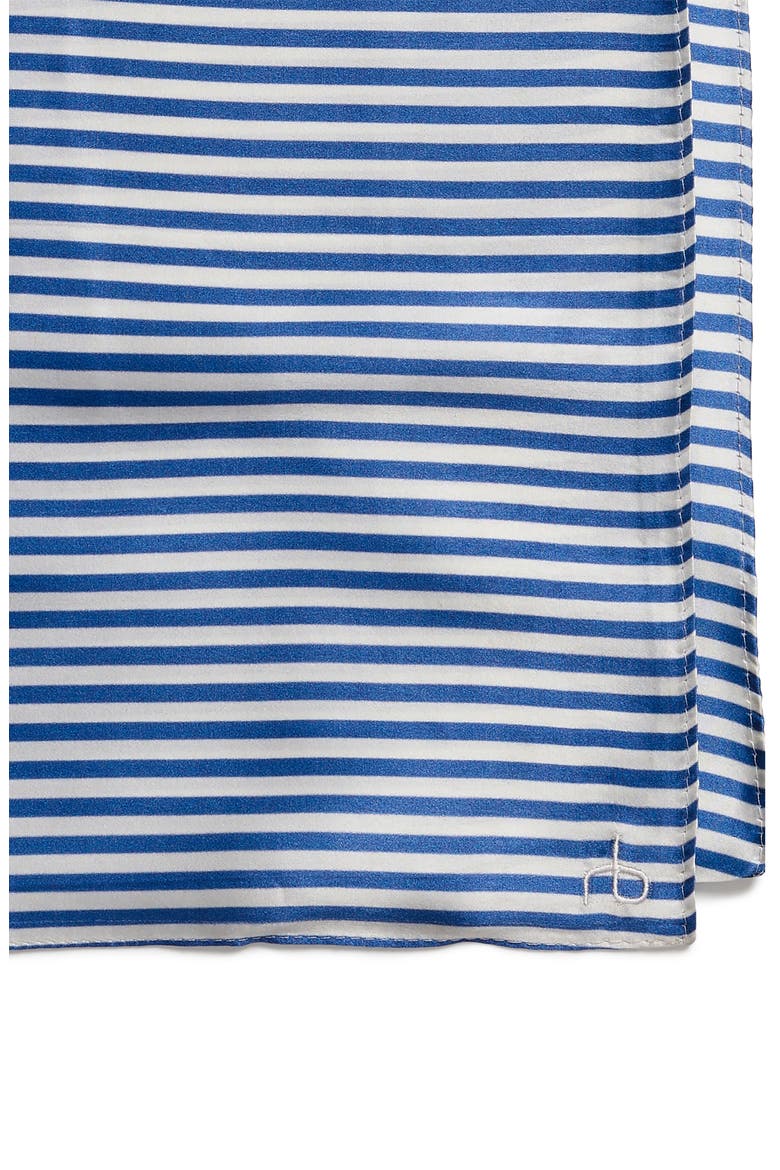 Gail Stripe Silk Scarf, Alternate, color, BLUE/ WHITE