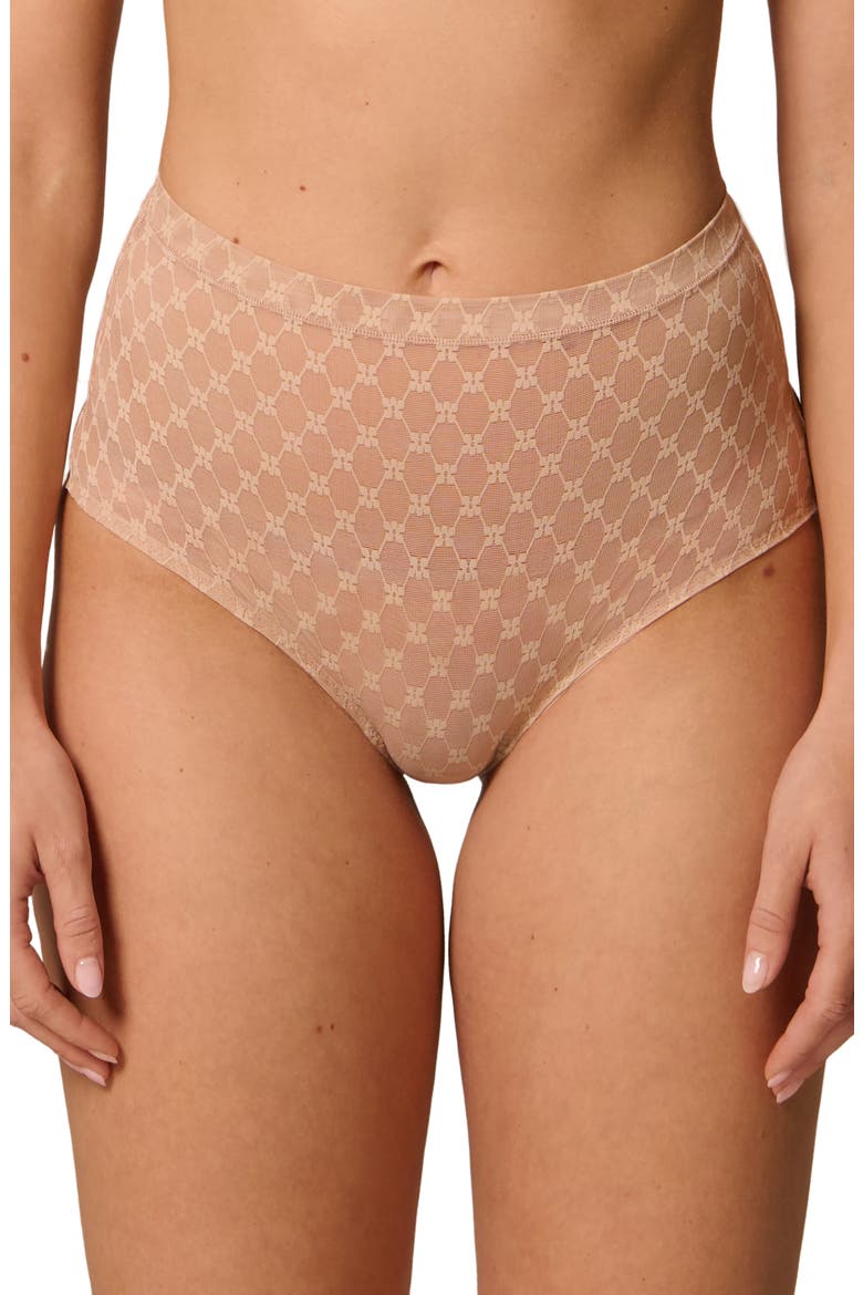 Plume Embroidered Shaping Briefs, Main, color, PEAU ROSE