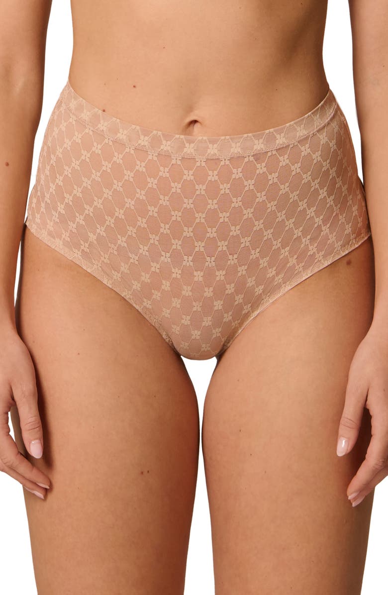 Simone Perele Plume Embroidered Shaping Briefs, Main, color, Peau Rose