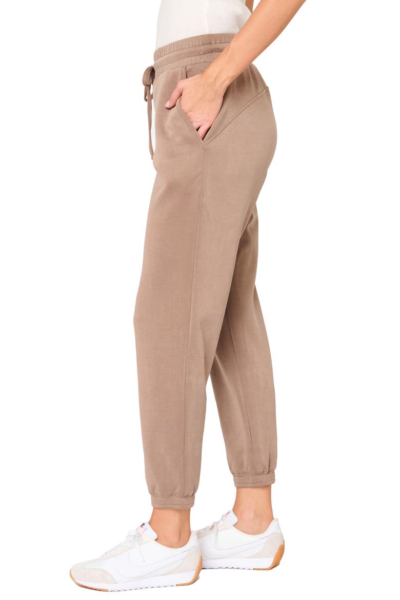 Easy Everywhere Joggers, Alternate, color, DARK TAUPE
