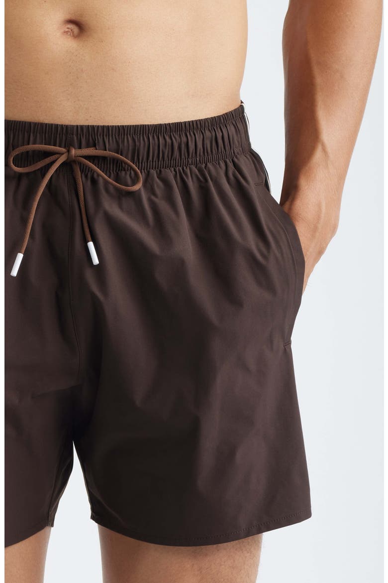 Iconic Side Stripe Swim Trunks, Alternate, color, DARK BROWN
