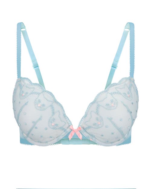 Adore Me Beanie Push Up Plunge Bra In Light Blue