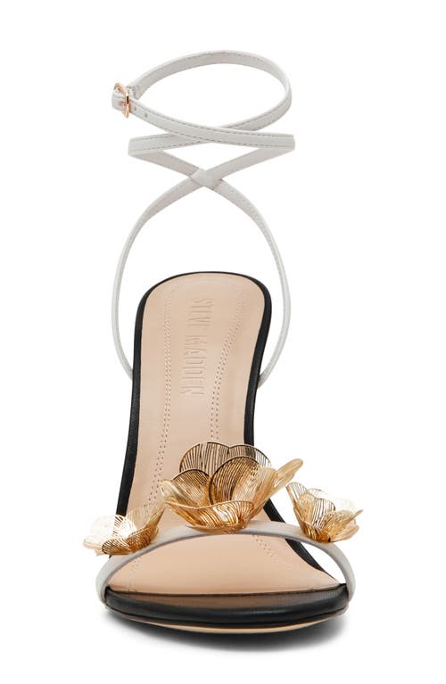 Steve Madden Sheila Ankle Strap Sandal In Black Multi