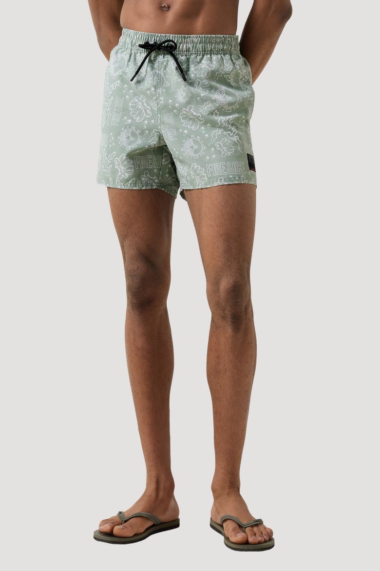 Nelson Swim Shorts, Alternate, color, Eucalyptus/white