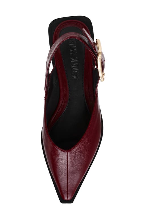 Steve Madden Shay Pointed Toe Slingback Flat In Burgundy