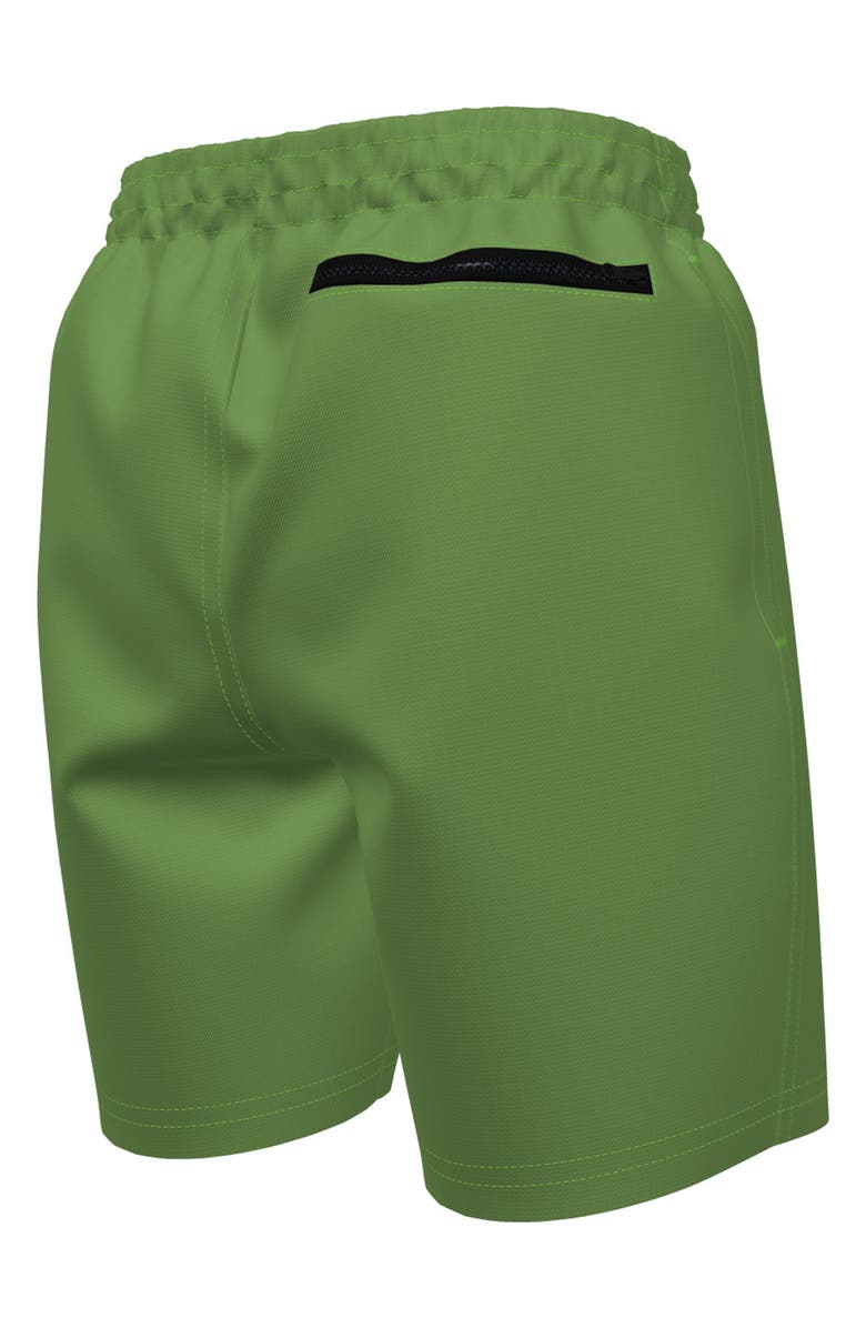 Nike Kids' 4" Volley Swim Trunks, Alternate, color,