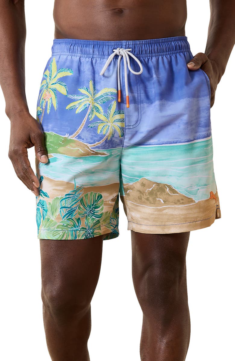 Tommy Bahama Naples Azul Lagoon Swim Trunks, Main, color,
