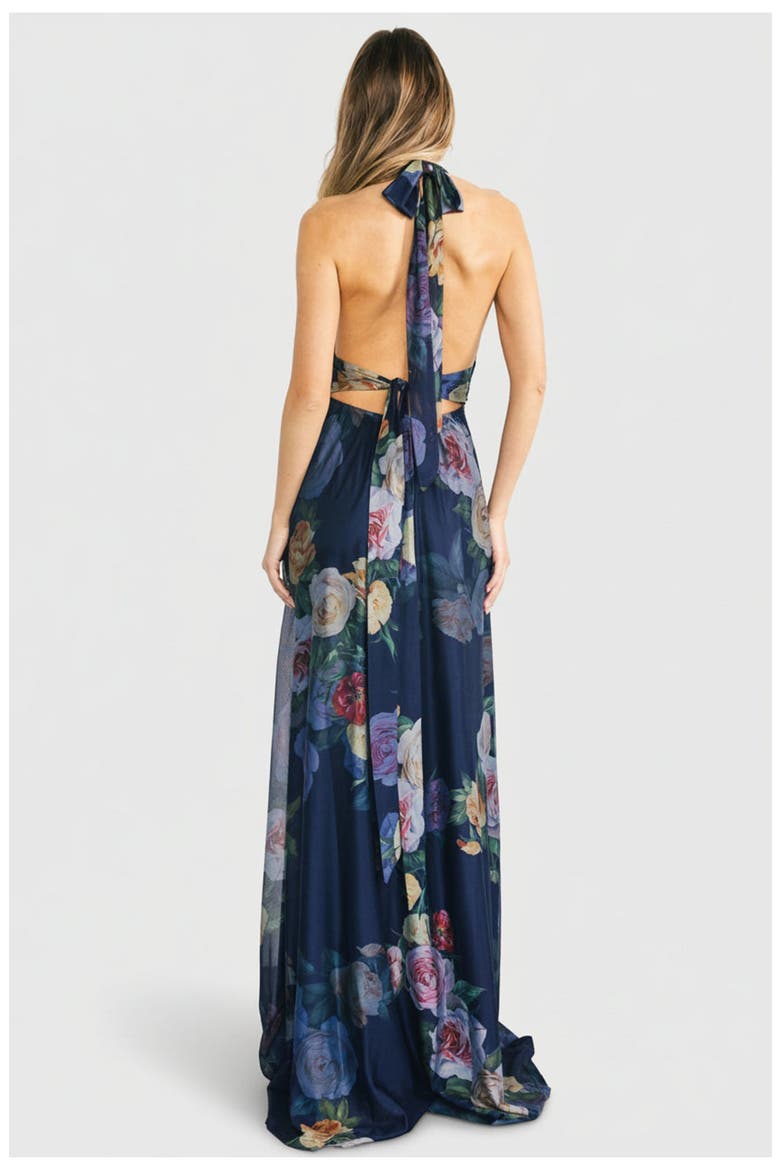 Dresden Halter Maxi Dress, Alternate, color, Navy Floral