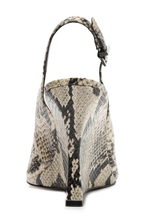 Arezzo Rowen Slingback Pointed Toe Wedge Pump In Animal Print