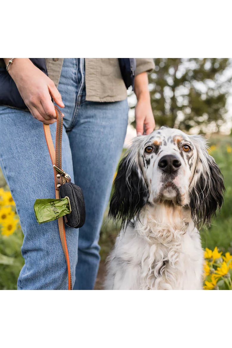 Proper Pup Bag Dispenser, Alternate, color, Multicolored