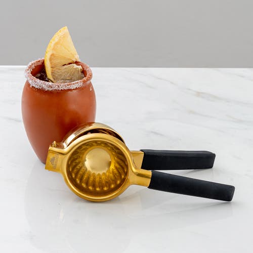 A Bar Above Gold Citrus Juicer In Gold