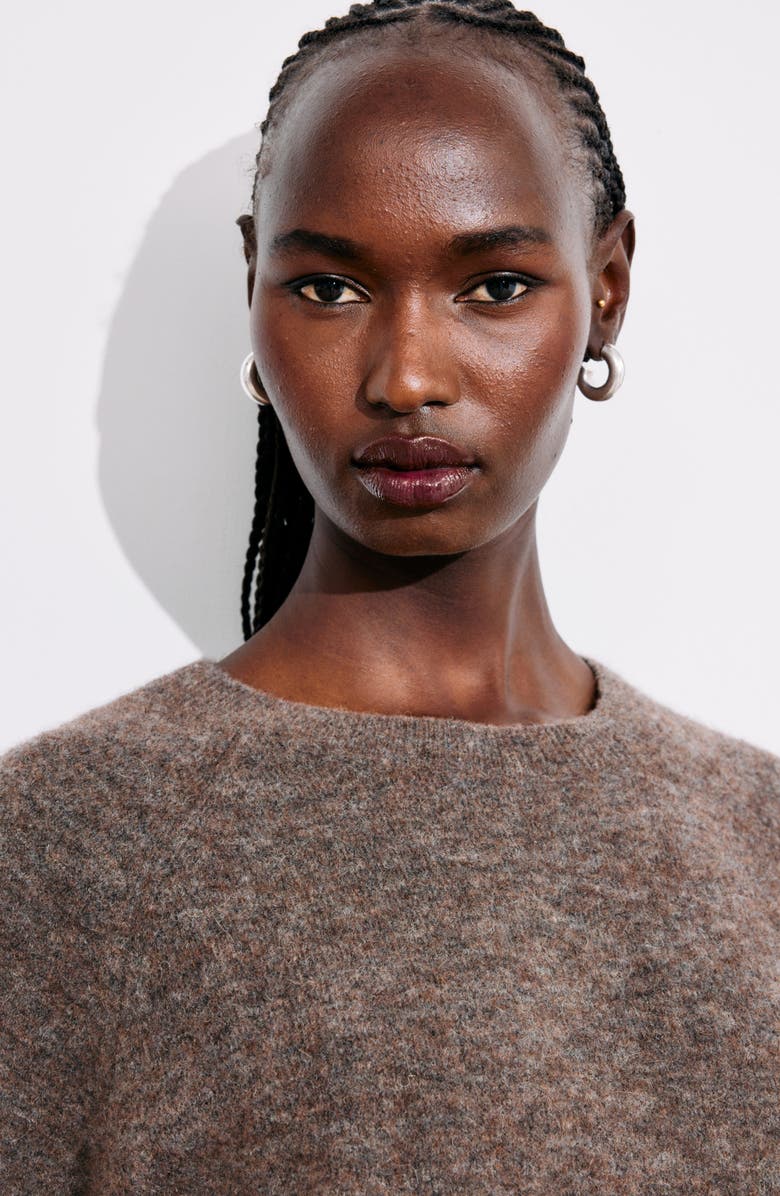 & Other Stories Crewneck Sweater, Alternate, color, Mole Dark