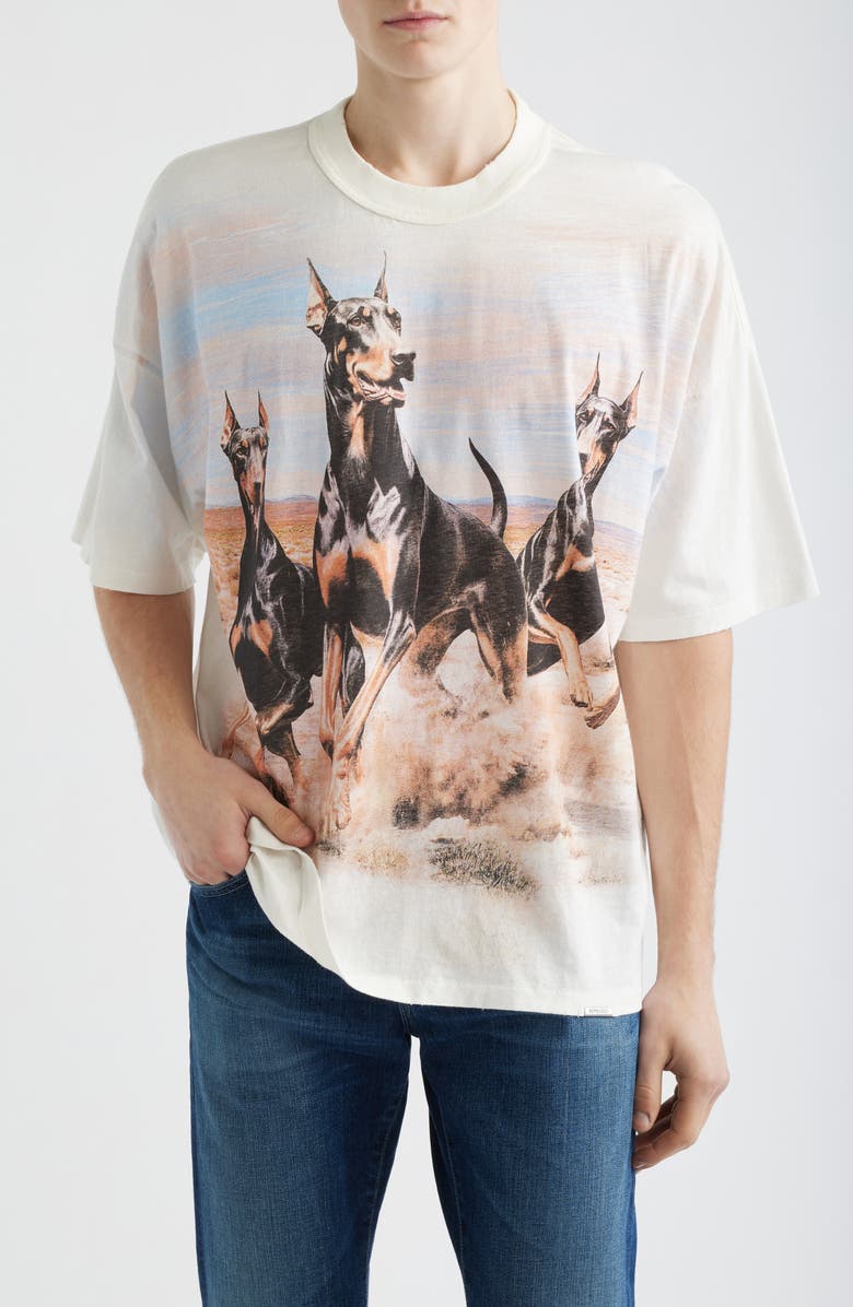 Represent Western Doberman Graphic T-Shirt, Main, color, Flat White