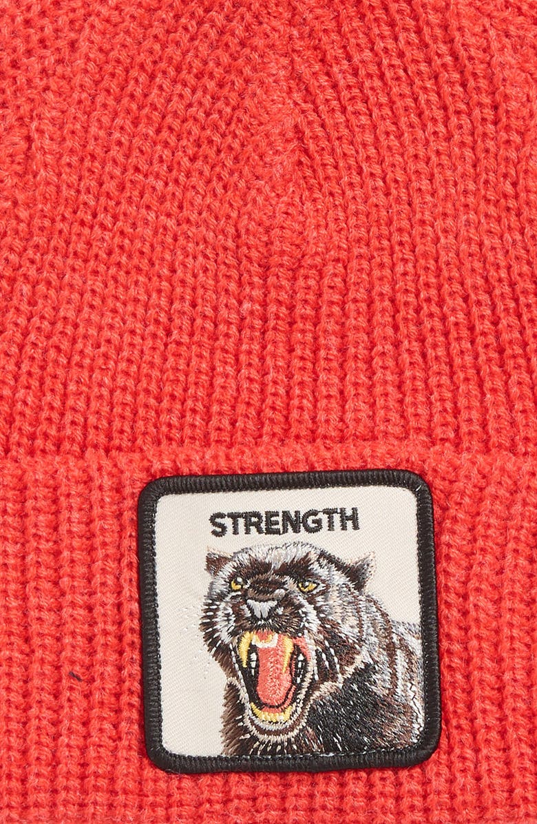 Goorin Bros. The Strength Beanie, Alternate, color, Rush