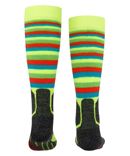 Falke Sk2 Intermediate Stripes Ski Socks In Green