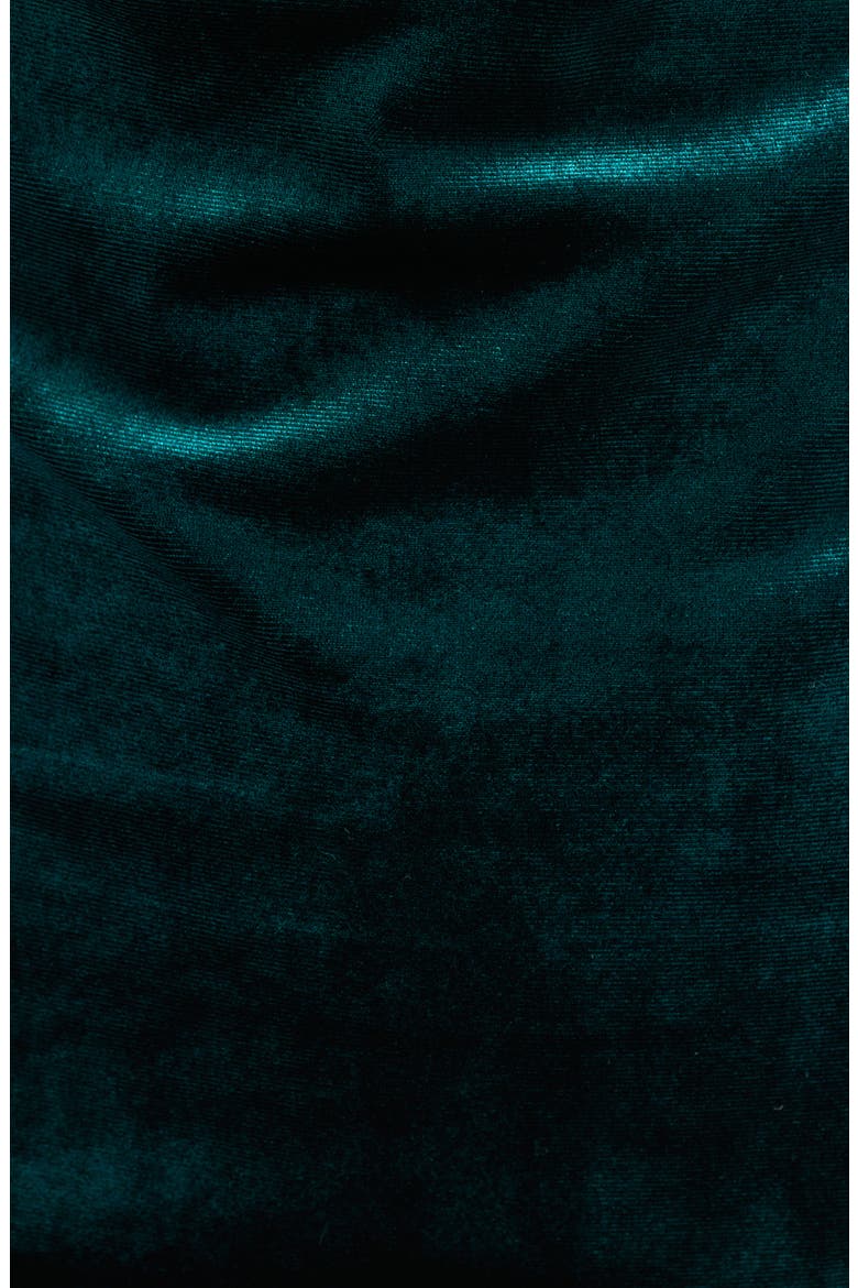 Cowl Neck Velvet Gown, Alternate, color, HUNTER