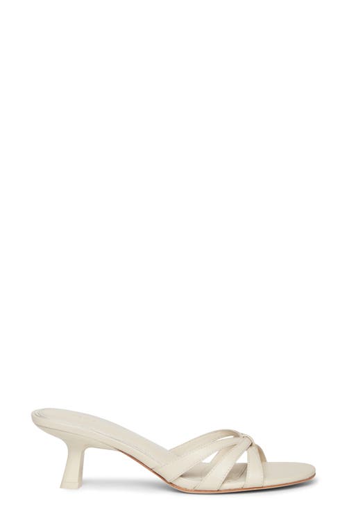 Paige Flora Flip Flop