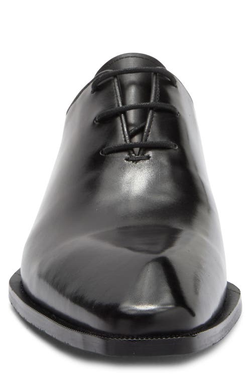 Maison Forte Director Wholecut Oxford In Black