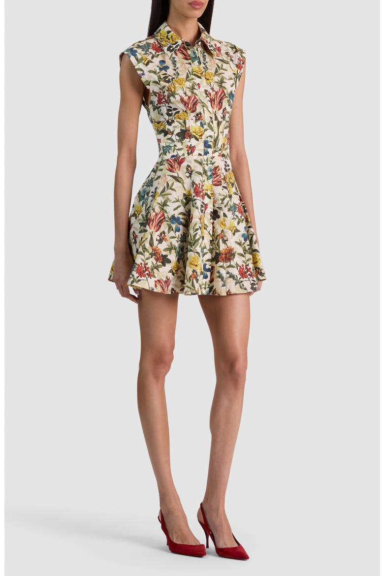 Kim Floral Paneled Minidress, Alternate, color, DESERT SPRIGS VANILLA