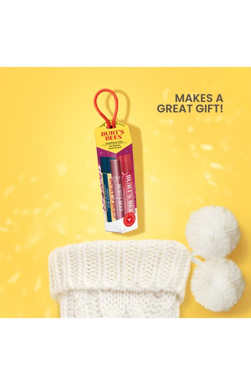 Burt's Bees Mistletoe Kiss Bee Merry Lip Balm Gift Set In Transparent