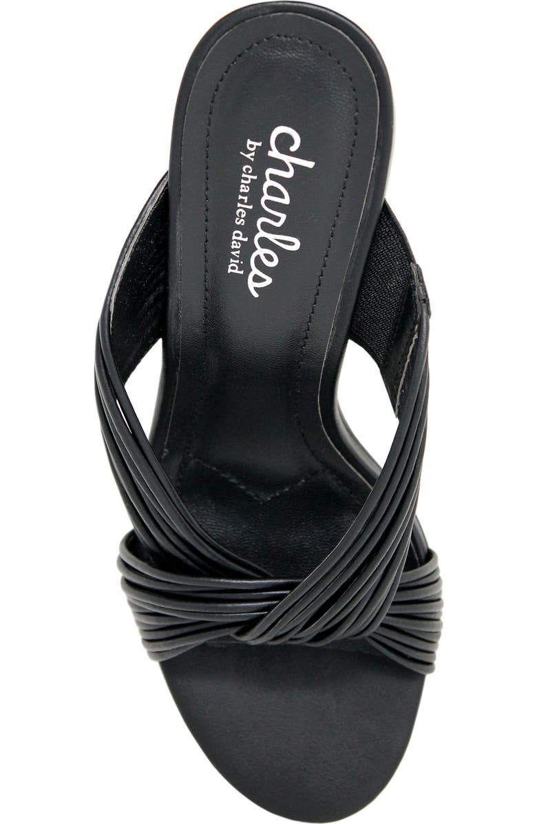 Charles by Charles David Razzle Slide Sandal, Alternate, color,