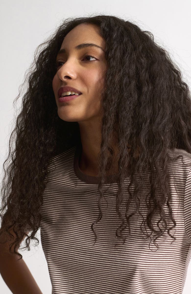 Brooklyn Industries Stripe Cotton T-Shirt, Alternate, color, Chocolate Martini Stripe