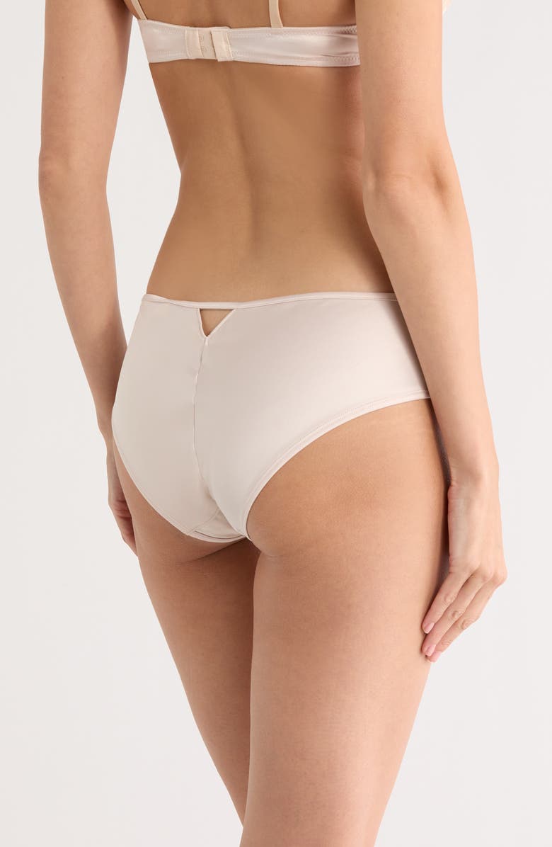 Etam Champetre Embroidered Satin & Mesh Briefs, Alternate, color, Dune