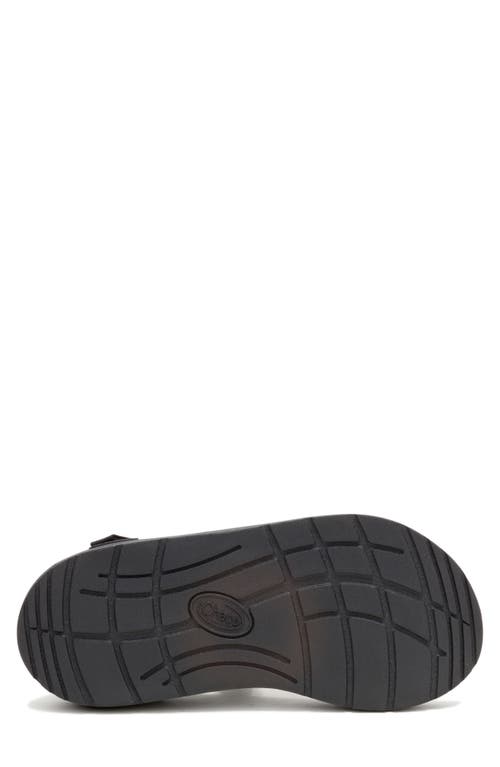 Chaco Cushz Sandal In Frond Black