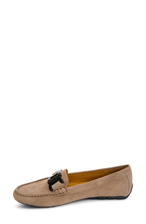 Vaneli Aiker Driving Loafer In Taupe Suede