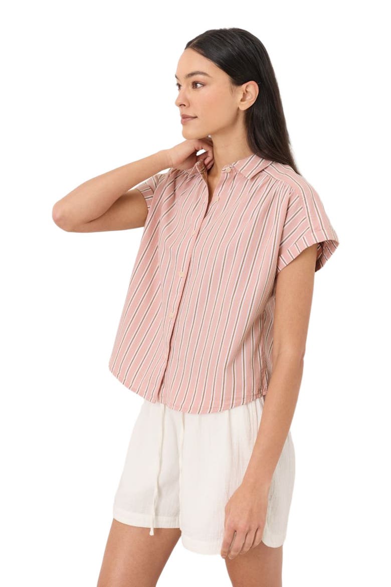 Organic Cotton All Day Poplin Shirred Shirt, Alternate, color, Berkley Stripe Blush