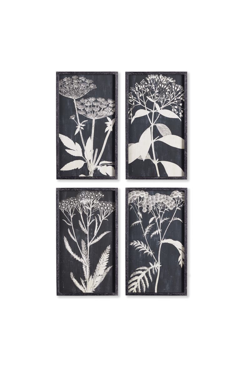 Monochrome Queen Anne's Lace Prints, Set Of 4, Main, color, Black