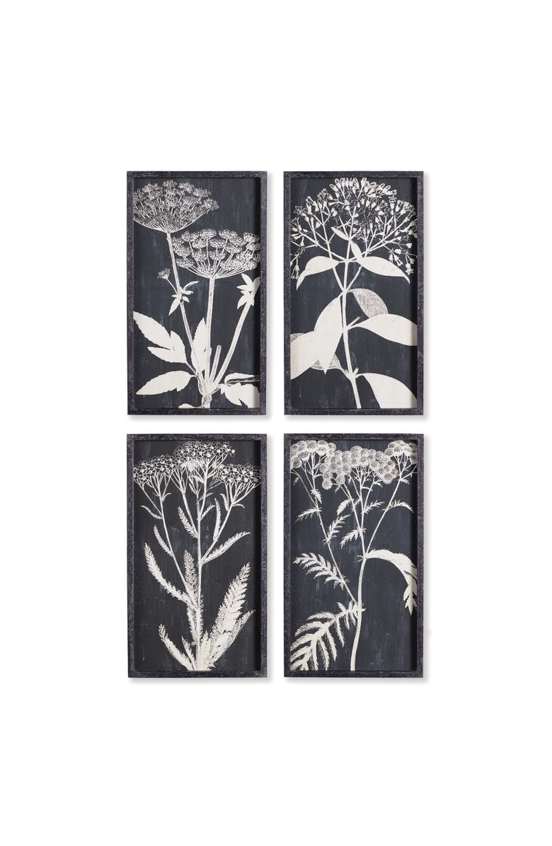Napa Home & Garden Monochrome Queen Anne's Lace Prints, Set Of 4, Main, color, Black