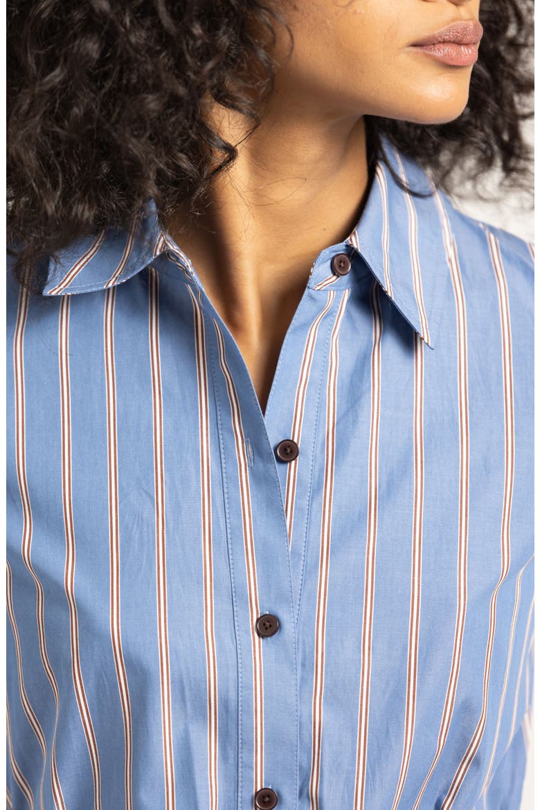 Veronica Belted Long Sleeve Shirtdress, Alternate, color, CEZANNE BLUE STRIPE