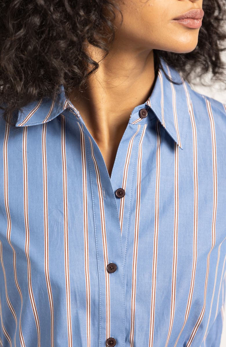 Derek Lam 10 Crosby Veronica Belted Long Sleeve Shirtdress, Alternate, color, Cezanne Blue Stripe