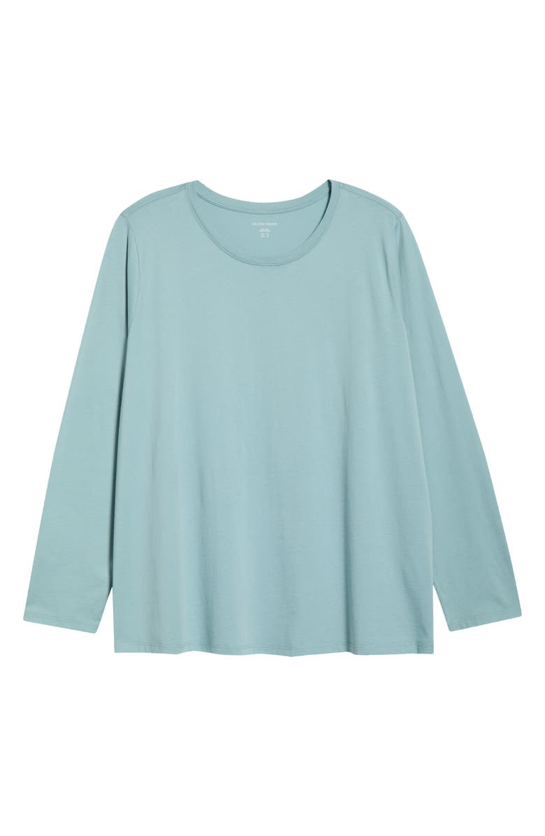 Eileen Fisher Long Sleeve Cotton Crewneck Top, Alternate, color, Seafoam