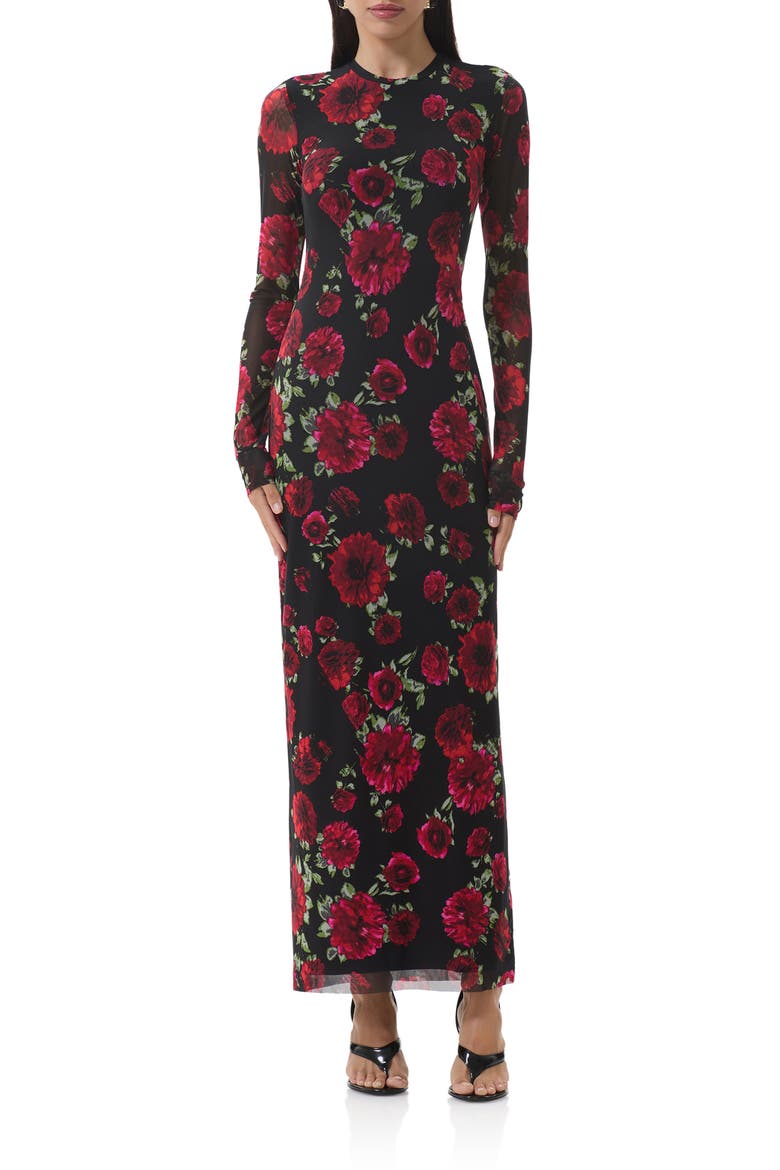 Didi Printed Long Sleeve Mesh Maxi Dress, Main, color, PAINTED ROSES