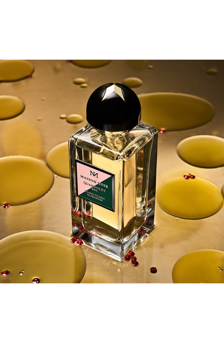 MAISON NOIR Quandoley 805, Alternate, color, NO COLOR