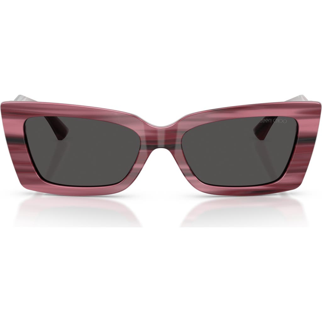 Jimmy Choo 54mm Cat Eye Sunglasses In Brown