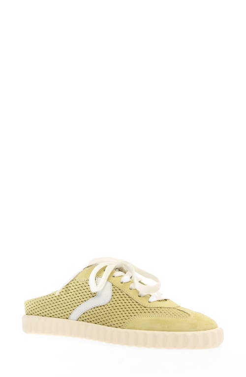 VOILE BLANCHE VOILE BLANCHE INES MULE