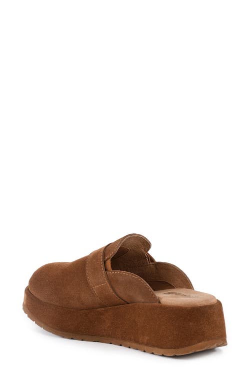 Seychelles Come Together Ii Platform Clog In Brown