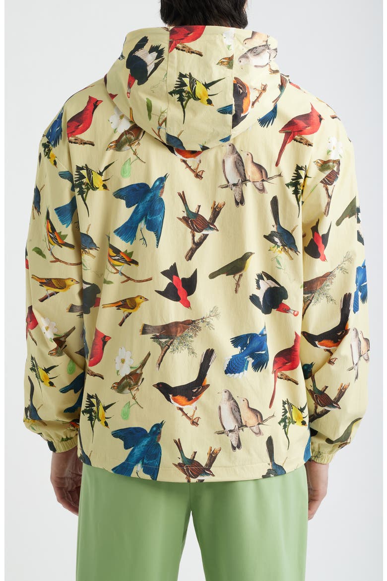 Birds of Georgia Print Ridge Quarter Zip Anorak Jacket, Alternate, color, BIRD PRINT
