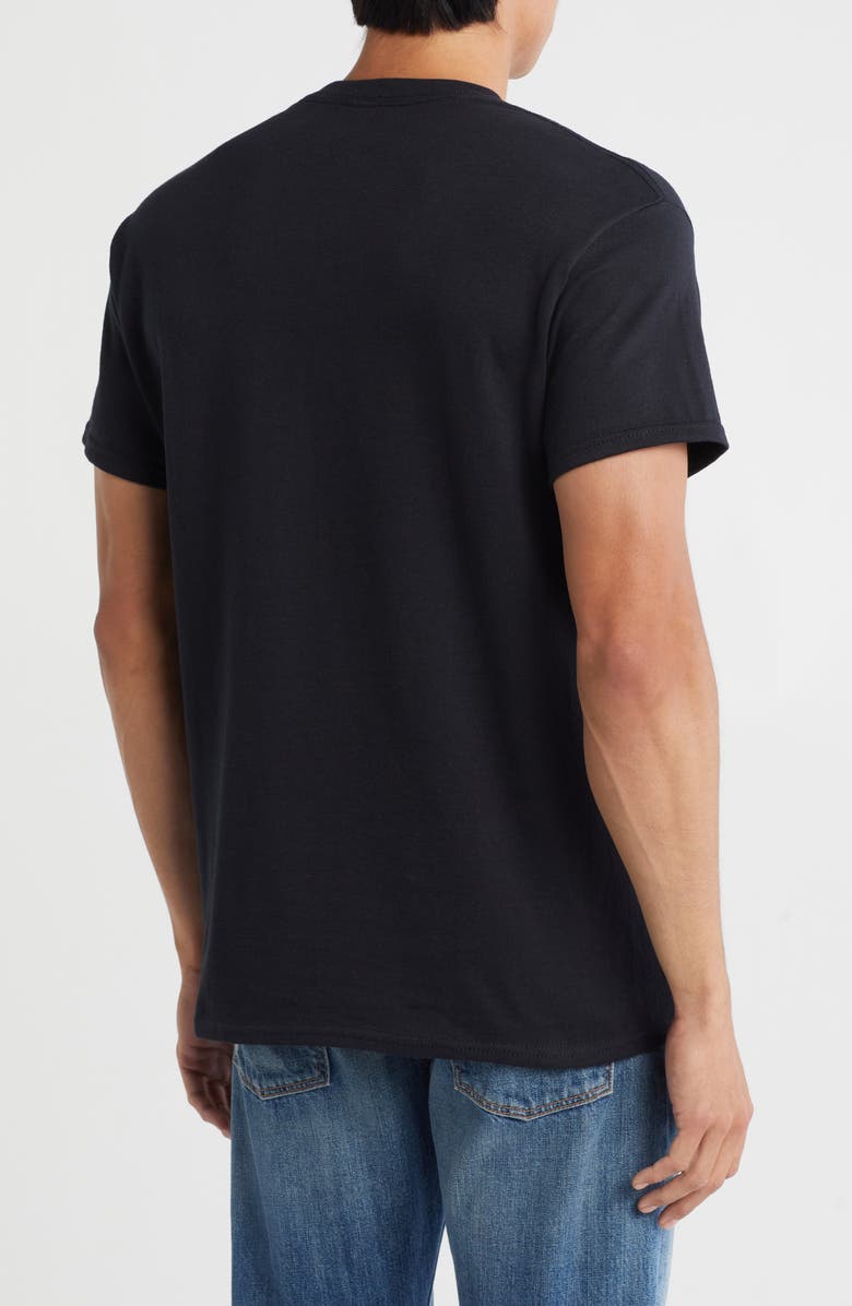 RIOT SOCIETY Skull Rose Embroidery Cotton T-Shirt, Alternate, color, 